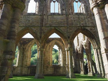 TINTERN, İngiltere - CIRCA SEPTEMBER 2019: Tintern Abbey (Galce Abaty Tyndyrn) harabeleri
