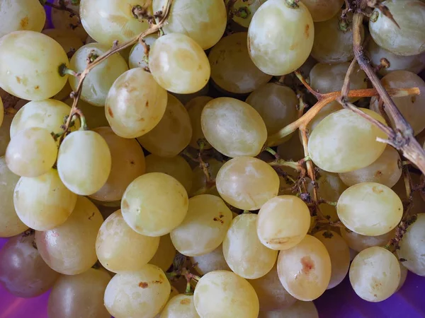 Comida Fruto Vegetariana Uva Branca Nome Científico Vitis Vinifera — Fotografia de Stock