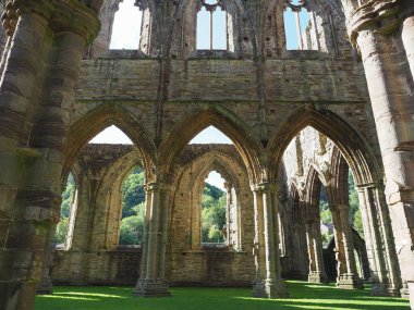 TINTERN, İngiltere - CIRCA SEPTEMBER 2019: Tintern Abbey (Galce Abaty Tyndyrn) harabeleri