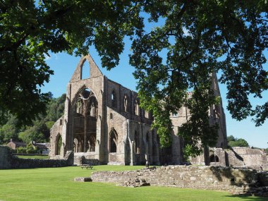 TINTERN, İngiltere - CIRCA SEPTEMBER 2019: Tintern Abbey (Galce Abaty Tyndyrn) harabeleri