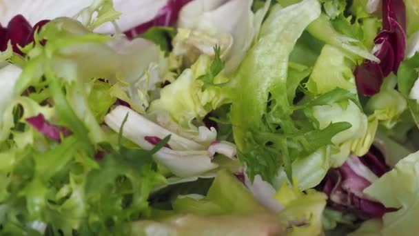 Salade de feuilles mélangées — Video