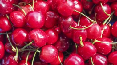 Kiraz meyvesi detayı