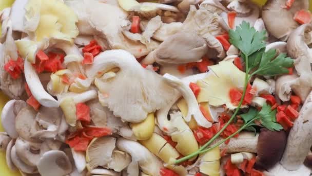 Champignon gomba élelmiszer — Stock videók