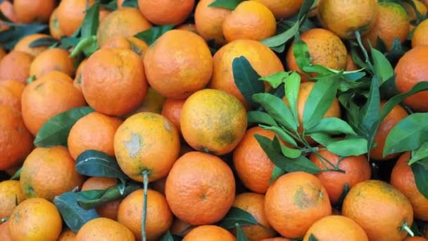 Narancssárga gyümölcsélelmiszer — Stock videók