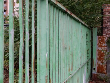 Eski endüstriyel yeşil aşınmış yeşil kapılı yeşillik