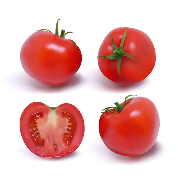 Quatro tomates vermelhos maduros. Ilustração vetorial foto-realista — Vetor de Stock