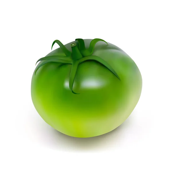 白い背景の上の緑の未熟トマト — ストックベクタ