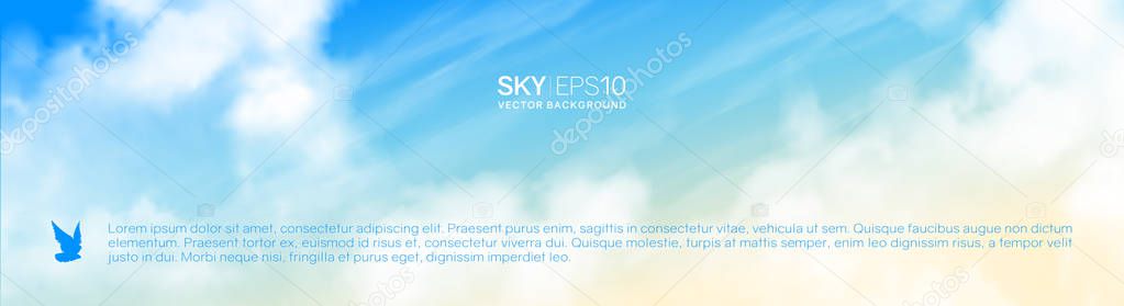 Narrow horizontal vector banner with realistic beige-blue sky