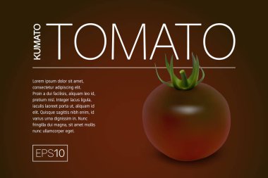 Minimalist afiş ile bir gerçekçi siyah domates kumato çeşitleri