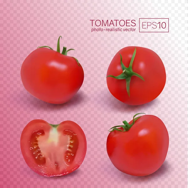 Quatro tomates vermelhos maduros. Ilustração vetorial foto-realista — Vetor de Stock