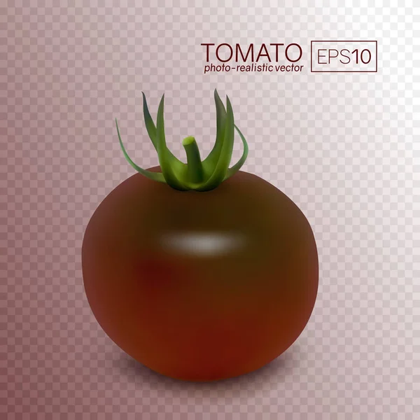 Kumato de tomate preto em um fundo transparente . —  Vetores de Stock