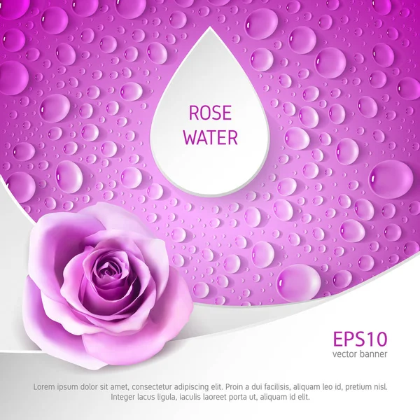 Banner for rose watter — Stock Vector