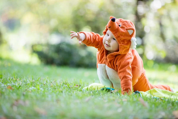 公園で何かを指して芝生の上でクロール フォックス コスチュームに身を包んだかわいい赤ちゃん女の子 — ストック写真