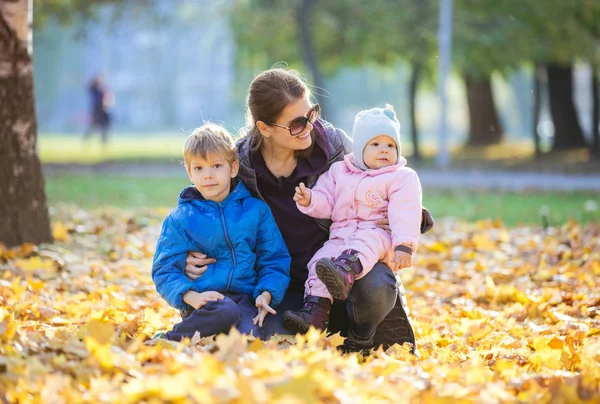 年轻的妇女与学龄前儿子和婴孩 Daugther 享用美好的天在秋天公园 — 图库照片