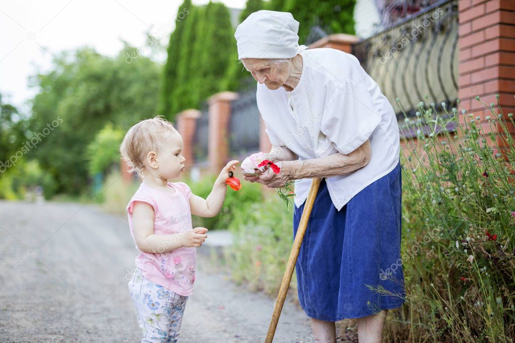 Great grandmother and toddler girl picking poppy flowers