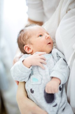 Yeni doğmuş erkek bebek annesinin kollarında. Sevimli küçük bebek annesine bakıyor..