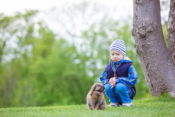 Genç Çocuk Bahar Parkında Evcil Tavşanla Oynuyor — Stok fotoğraf