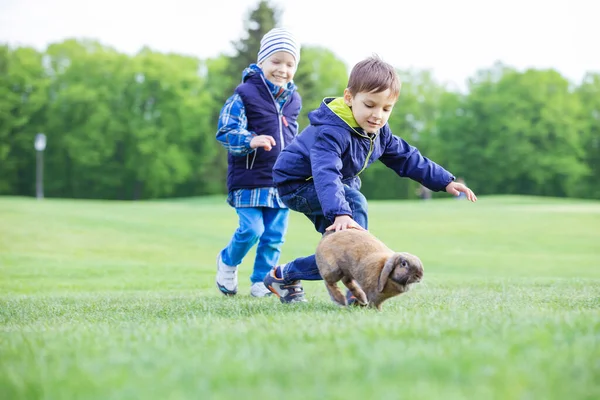 Bambini Età Prescolare Cattura Coniglio Domestico Sul Prato Nel Parco — Foto Stock