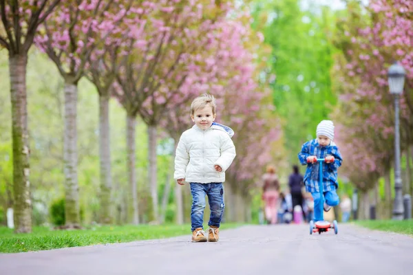 Молодые Мальчики Прогулке Весеннем Парке Младший Мальчик Идущий Дорожке Улыбающийся — стоковое фото