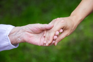Yeşil arka planda genç yetişkin ve yaşlı kadınların elleri