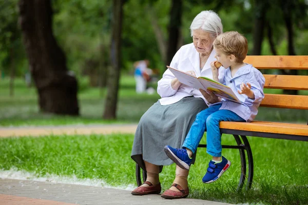 Ung Pojke Och Farmor Läser Bok Sommarparken Sonson Äter Bulle — Stockfoto