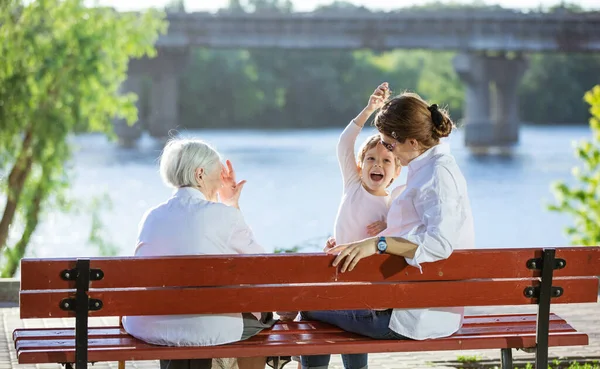 Senior Kvinna Hennes Vuxna Barnbarn Och Barnbarnsbarn Sitter Bänk Sommarparken — Stockfoto