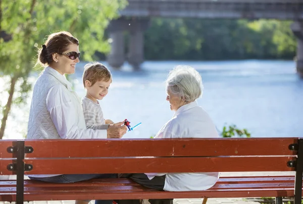 Senior Kvinna Hennes Vuxna Barnbarn Och Barnbarnsbarn Sitter Bänk Sommarparken — Stockfoto