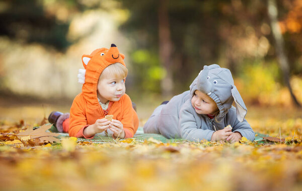 Little children in animal costumes, boy dressed as fox, girl as elephant, playing in autumn forest