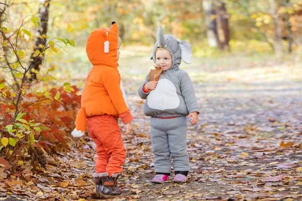 穿着动物服装的小孩 穿着狐狸的男孩子 象大象的女孩子 在秋天的森林里玩耍 — 图库照片
