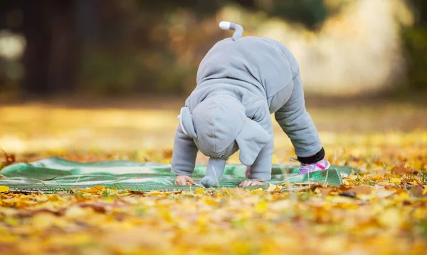 穿着大象服装的小女孩在秋天的森林里玩耍 假装象大象一样踩踏 — 图库照片