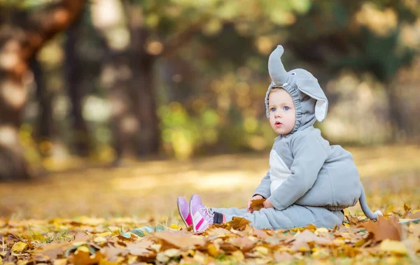 Schattig Klein Meisje Olifant Kostuum Spelen Herfst Bos — Stockfoto