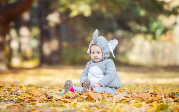 穿着大象服装的可爱小女孩在秋天的森林里玩耍 — 图库照片