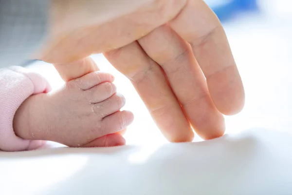 Neugeborenes Mädchen Mit Dem Kleinen Finger Der Mutter Geringe Tiefenschärfe — Stockfoto