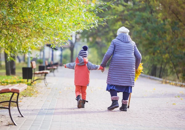 Niño Pequeño Bisabuela Caminando Parque Otoño Vista Trasera —  Fotos de Stock