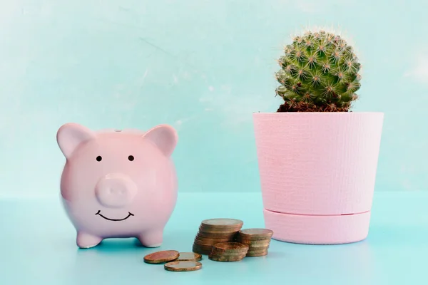 Piggy Bank Blue Background Next Cactus Pink Pot Bunch Coins — Stock Photo, Image