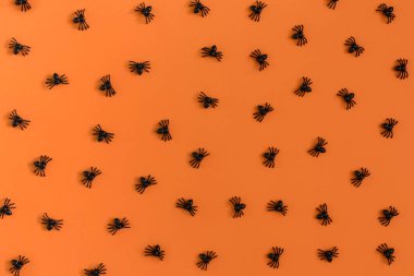 Birçok turuncu dekoratif örümcekler bir turuncu zemin üzerine yerleştirilir. Güzel Cadılar Bayramı arka plan.