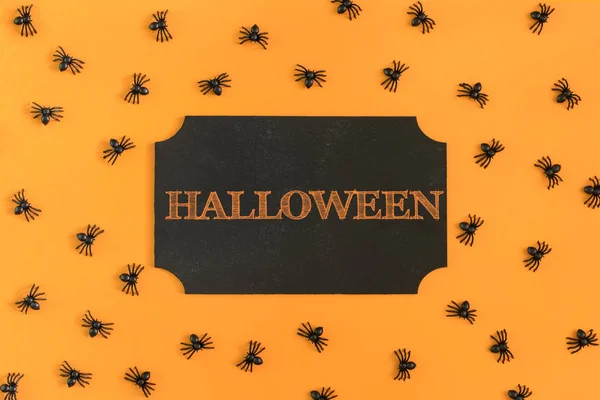 Turuncu Arka Plan Üzerinde Küçük Dekoratif Örümcekler Dağılmış Cadılar Bayramı — Stok fotoğraf