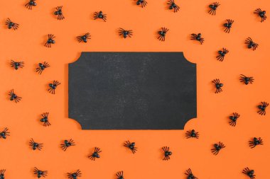 Turuncu arka ortasında boş bir levha metin için bir yer ile alay yukarıda. Civarında olan küçük dekoratif örümcekler. Üst sıra dışı bir fotoğraf.