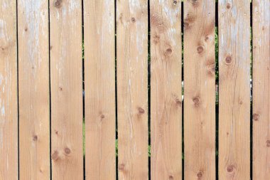 Ahşap çit düzgün dikey kurullarında yapılır. Bir ahşap yüzey dokusu. Güzel boş geçmiş.