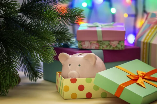 Small Pink Piggy Bank Fir Festive Boxes Symbol New Year — Stock Photo, Image