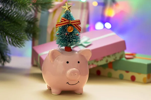 Piggy Bank Small Christmas Tree Head — Stock Photo, Image