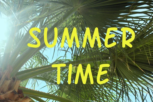 明亮的背景与题字夏天时间在棕榈树的绿色蔓延的分支 — 图库照片