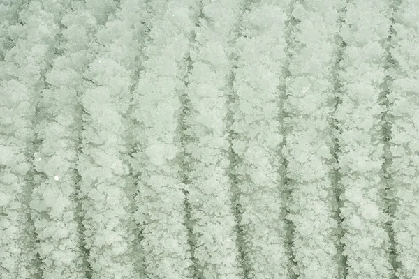 Fondo verde abstracto. Foto tonificada de rayas de hielo curvadas. Fondo inusual para diseños y sitios — Foto de Stock