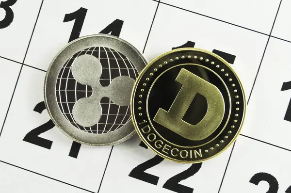 Dogecoin Est Moyen Moderne Échange Cette Crypto Monnaie Est Moyen — Photo