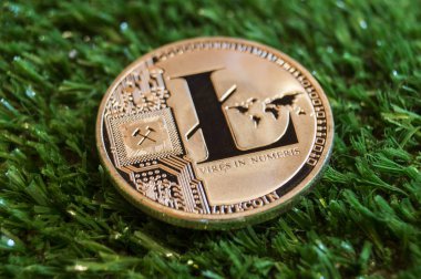 Litecoin modern bir yolu bu Kripto Döviz Alım ve Satım mali ödeme uygun bir anlamı nedir