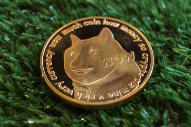 DogeCoin modern bir yolu bu kripto Döviz Alım ve Satım mali ödeme uygun bir anlamı nedir