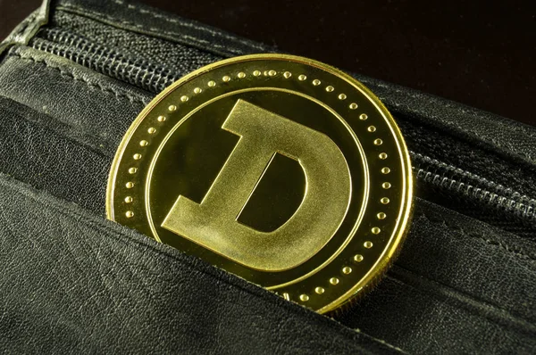 Dogecoin est un moyen moderne d'échange et cette crypto-monnaie est un moyen pratique de paiement dans le domaine financier — Photo