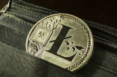 Litecoin modern bir yolu bu Kripto Döviz Alım ve Satım mali ödeme uygun bir anlamı nedir