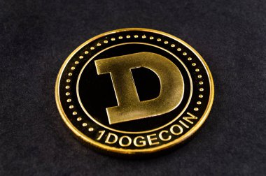 DogeCoin Doge cryptocurrency mali sektörde ödeme anlamına gelir