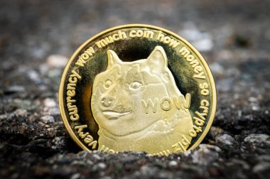 DogeCoin Doge cryptocurrency mali sektörde ödeme anlamına gelir
